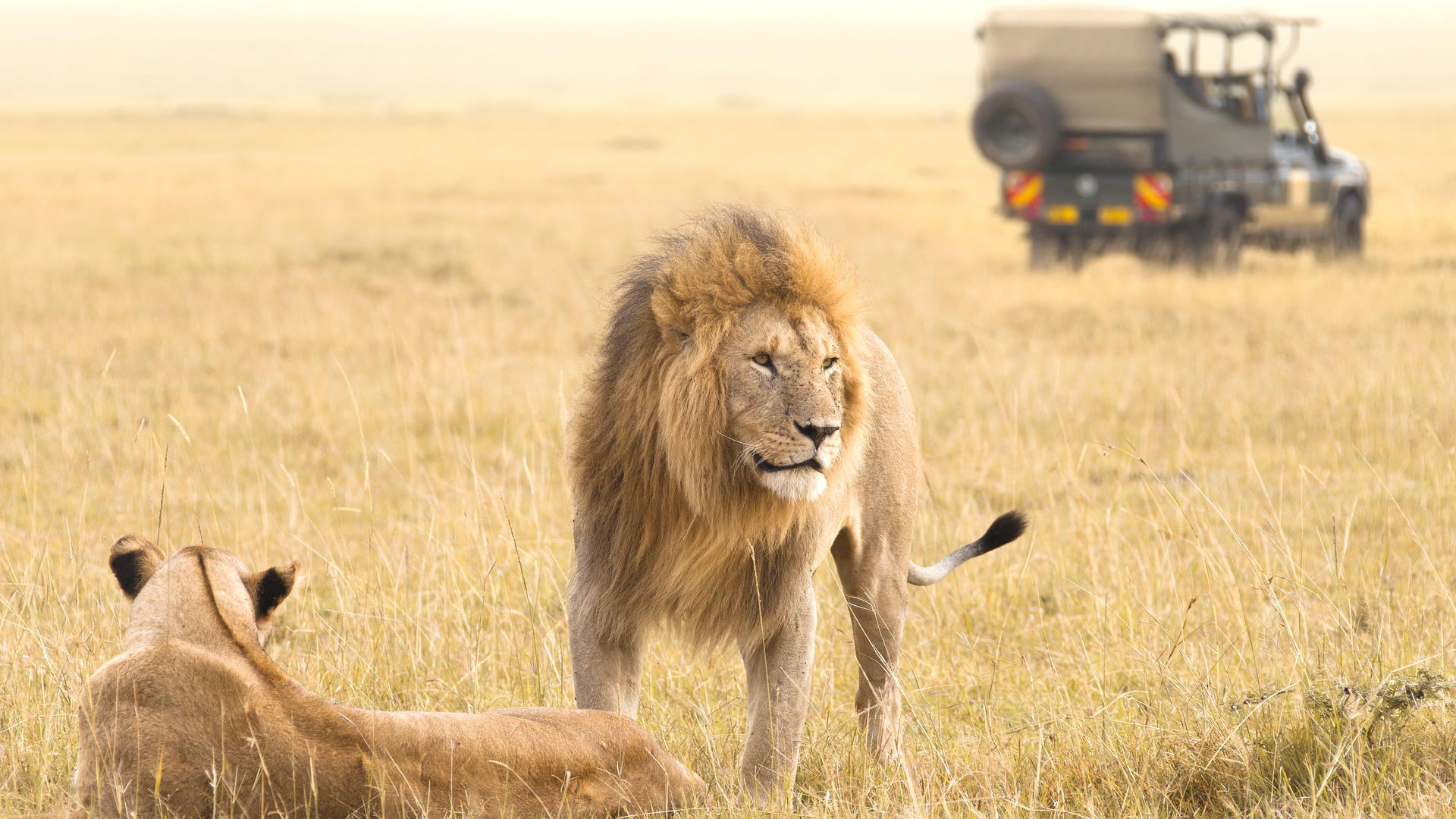 6 DAYS NAIROBI, LAKE NAIVASHA, NAKURU AND MAASAI MARA - Image - 9804