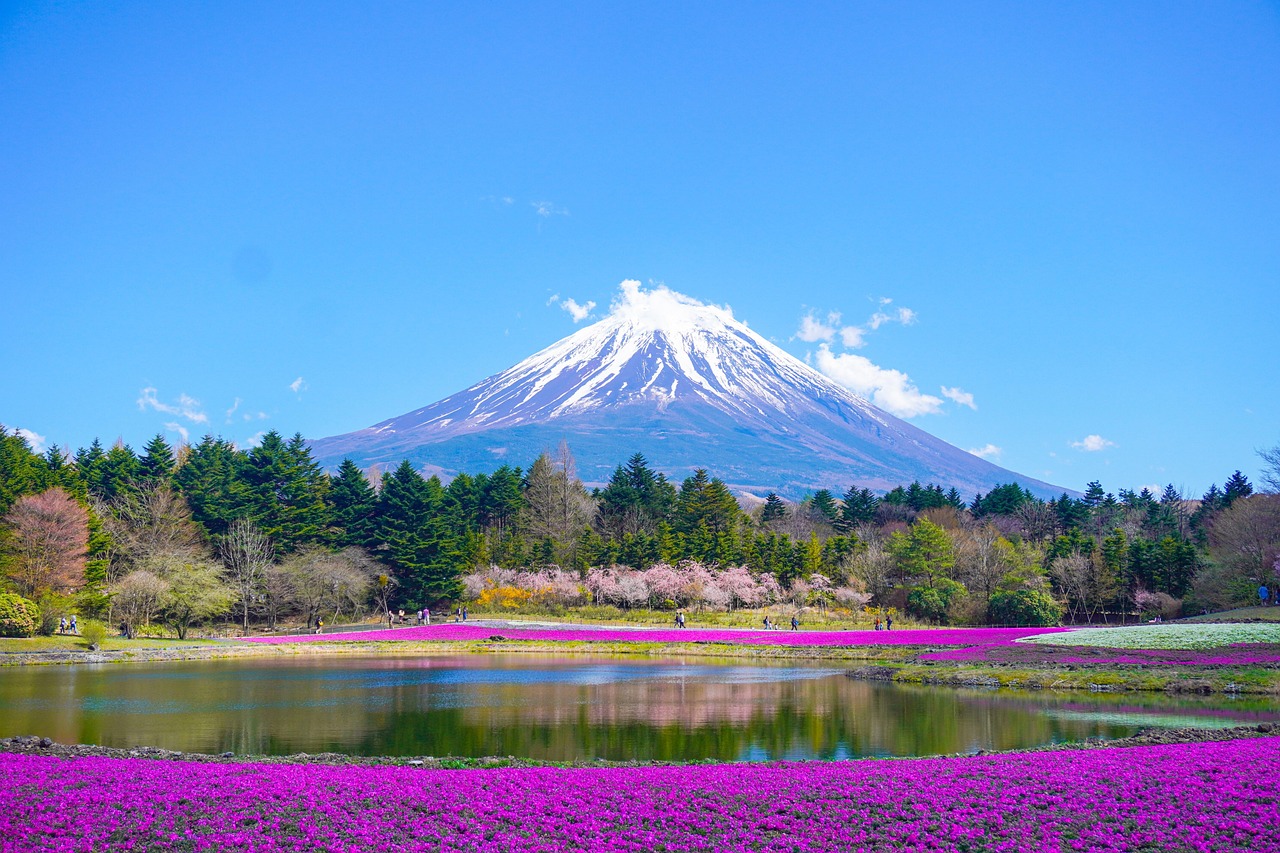 NARITA – TOKYO – YAMANASHI – FUJI – YOKOHAMA  ⏰ 5 DAYS 4 NIGHTS