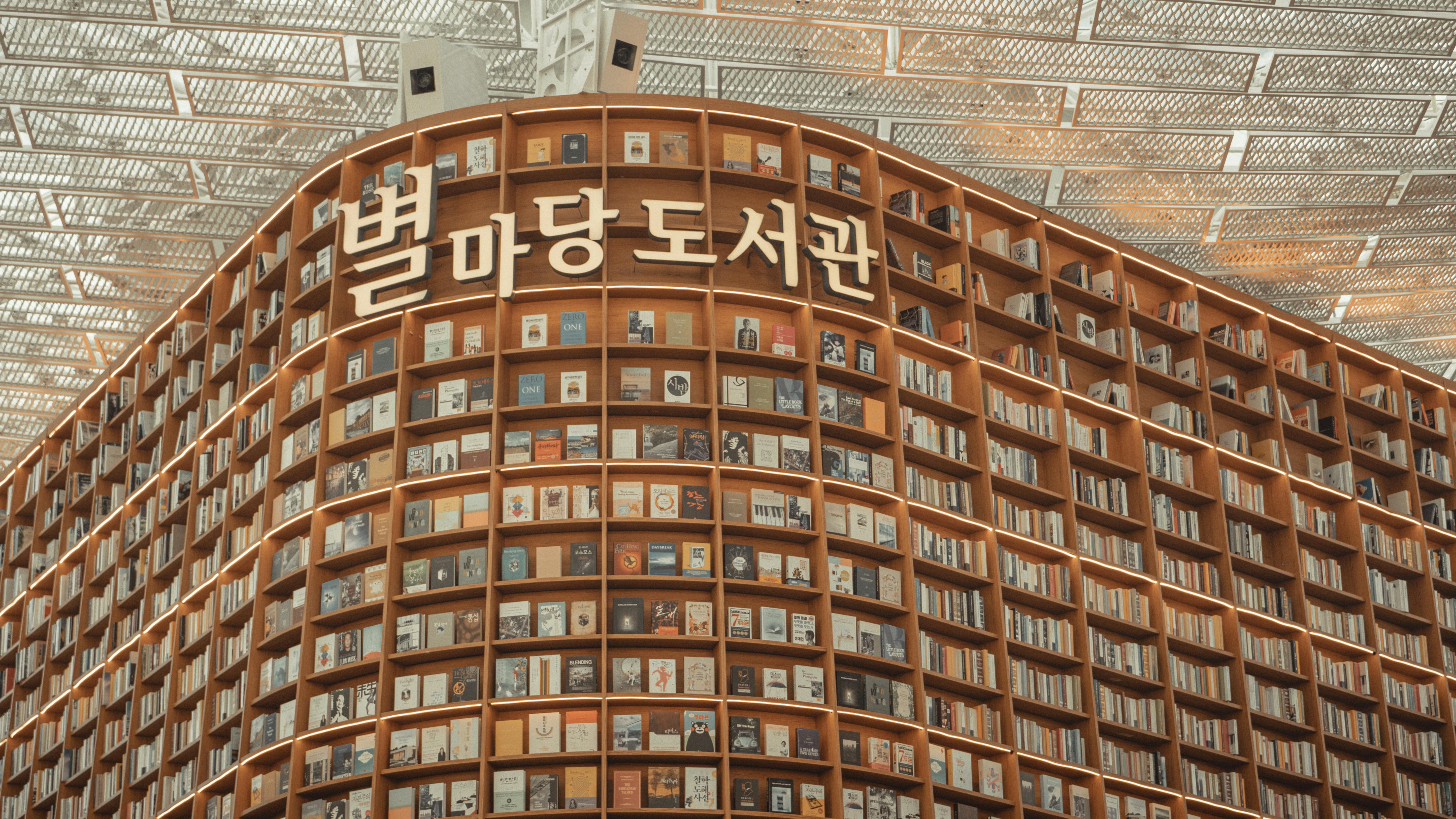 4D3N KOREA (SEOUL-NAMI ISLAND) - Image - 8429