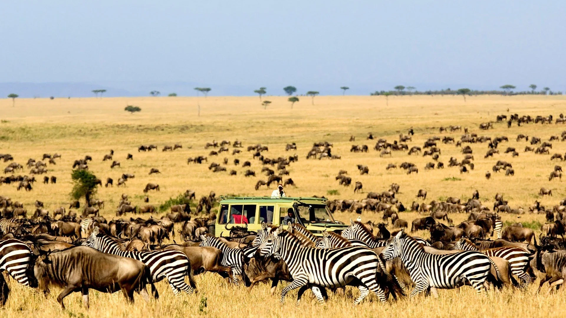 14-Day Uganda Vacation Package and Tour to See Gorillas - Image - 26666