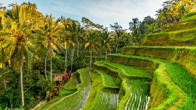 BALI 4 NGÀY 3 ĐÊM - Image - 5045