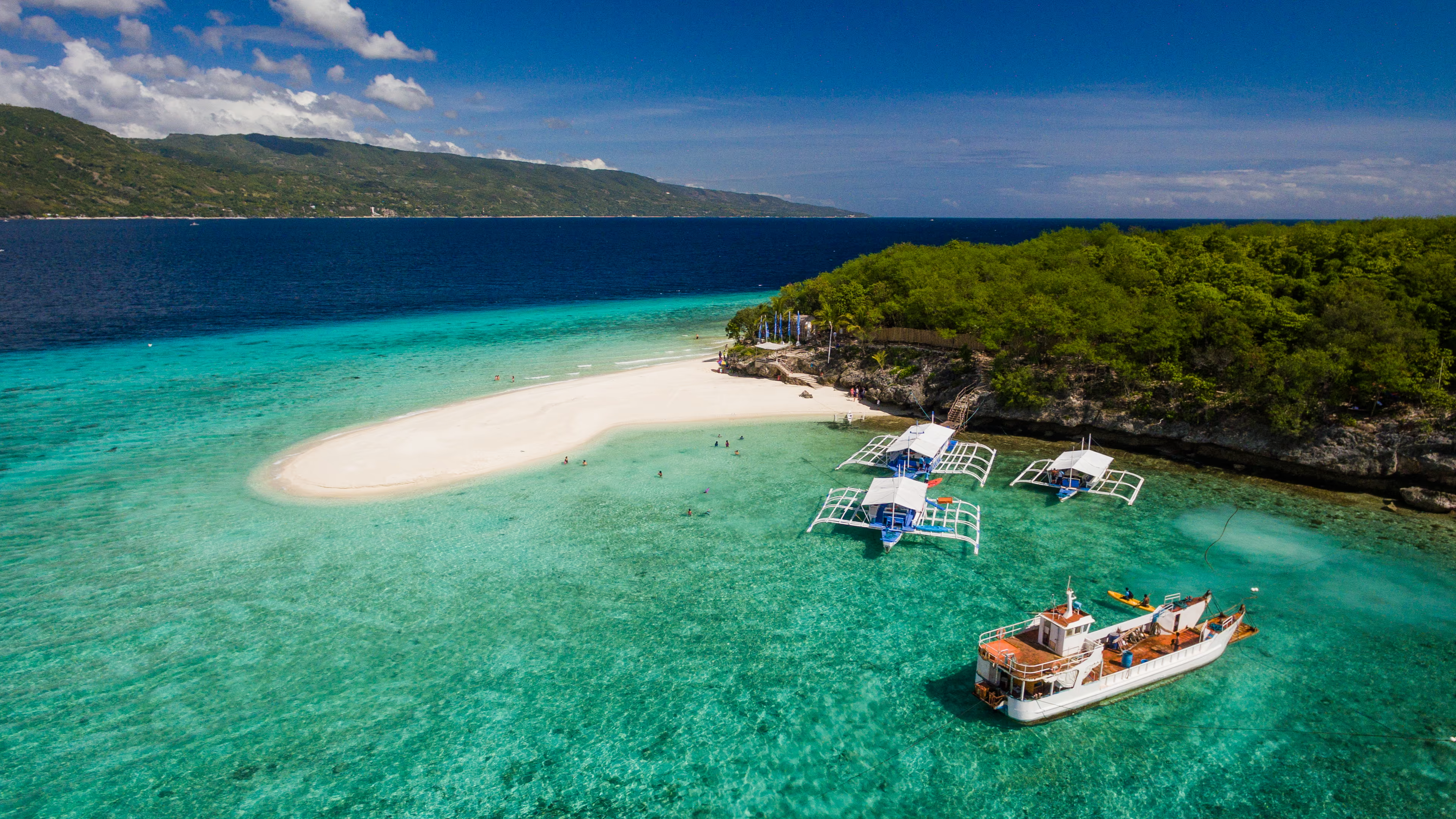 ĐẢO CEBU 5N4Đ - LẶN NGẮM CÁ MẬP VOI OSLOB – BƠI CÙNG ĐÀN CÁ MÒI MOALBOAL - Image - 14097