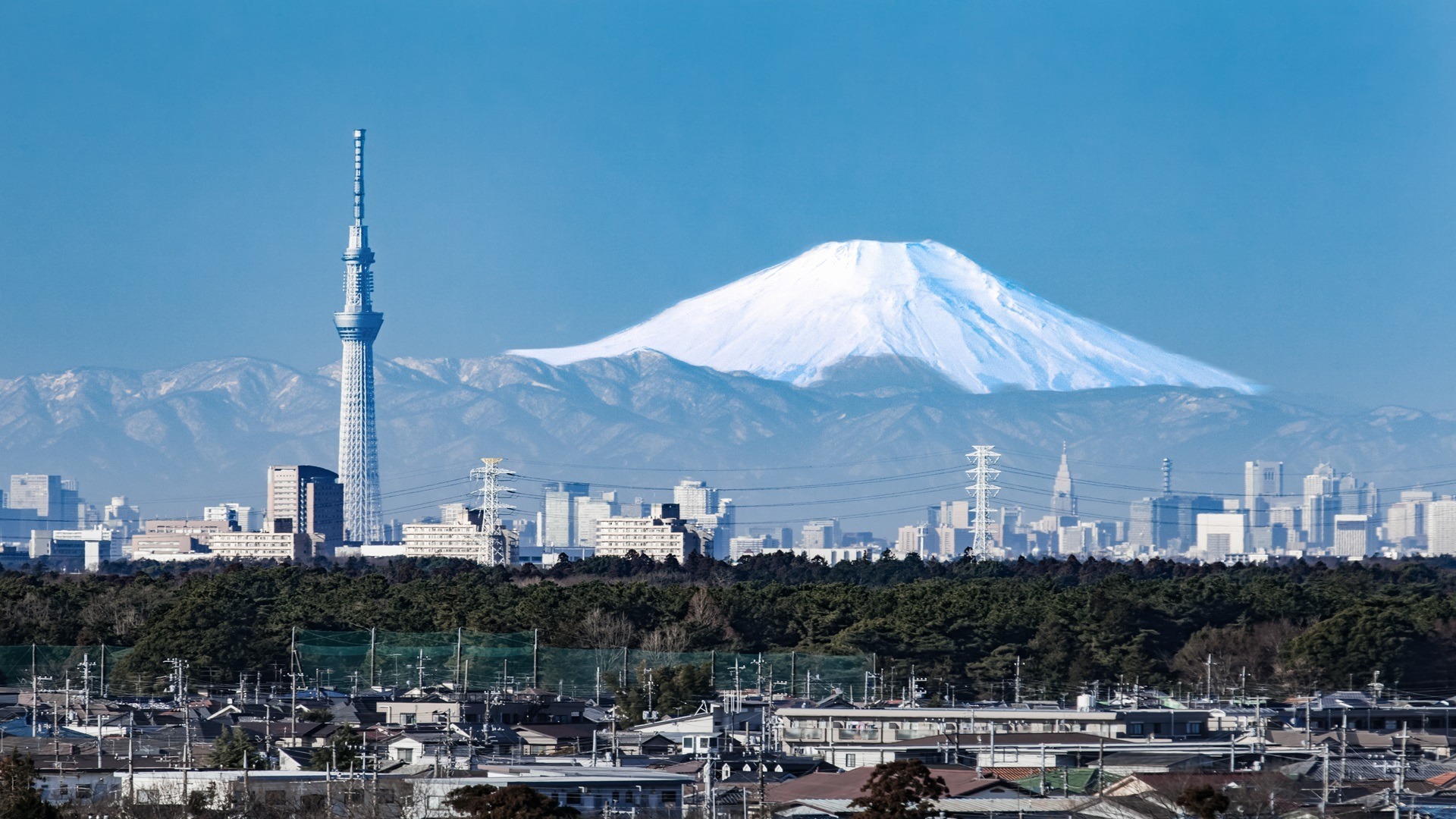 NO SHOP 5N4Đ: NÚI PHÚ SĨ – TOKYO CITY TOUR - Image - 19505