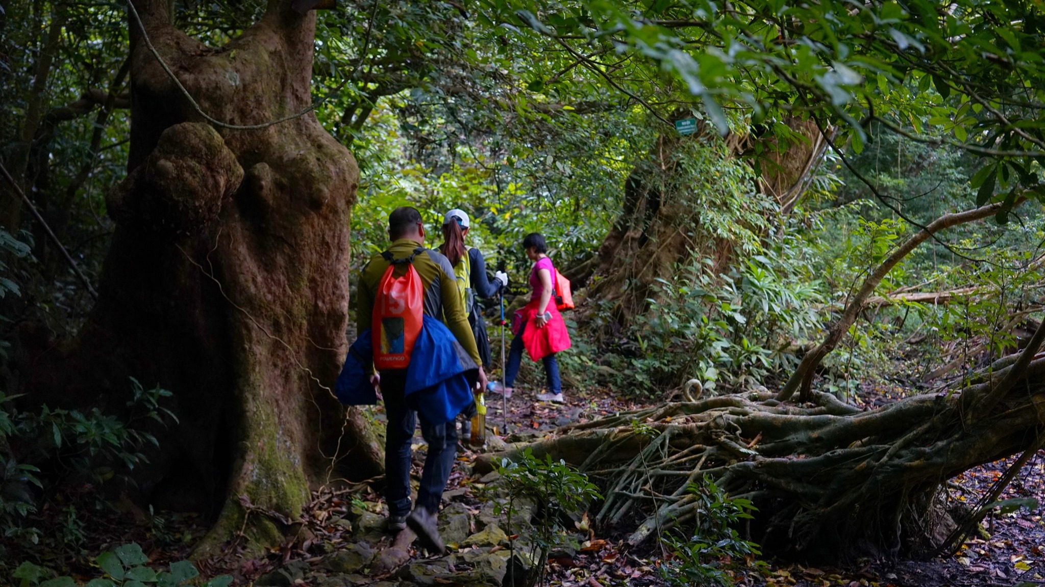 Trekking và Kayak: Rừng Cát Bà – Vịnh Lan Hạ 2N1Đ - Image - 13530