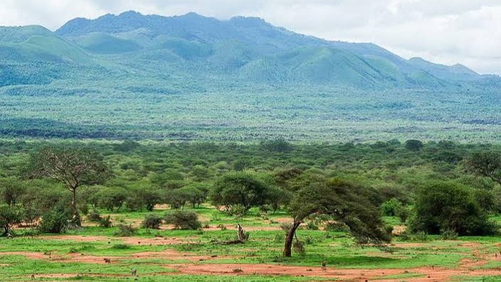 3 Days Tsavo East & Tsavo West Tour from Nairobi - Image - 25455