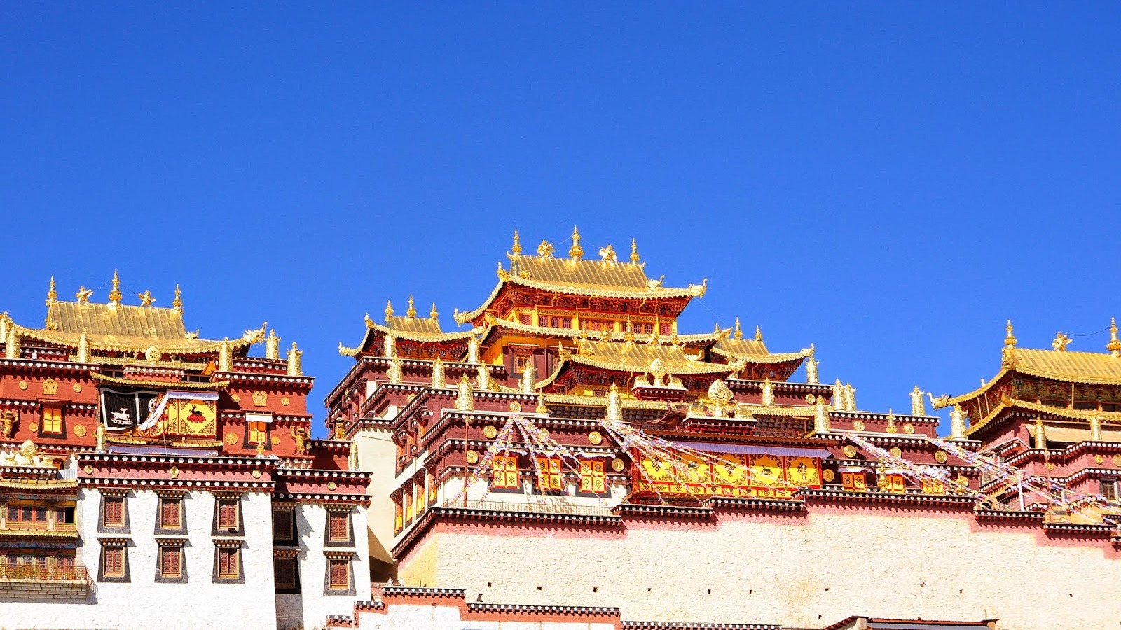 (NOSHOP) ĐẠI LÝ - LỆ GIANG - SHANGRILA - Image - 11565