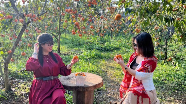 Mộc Châu – Mai Châu hàng tuần - Image - 13649