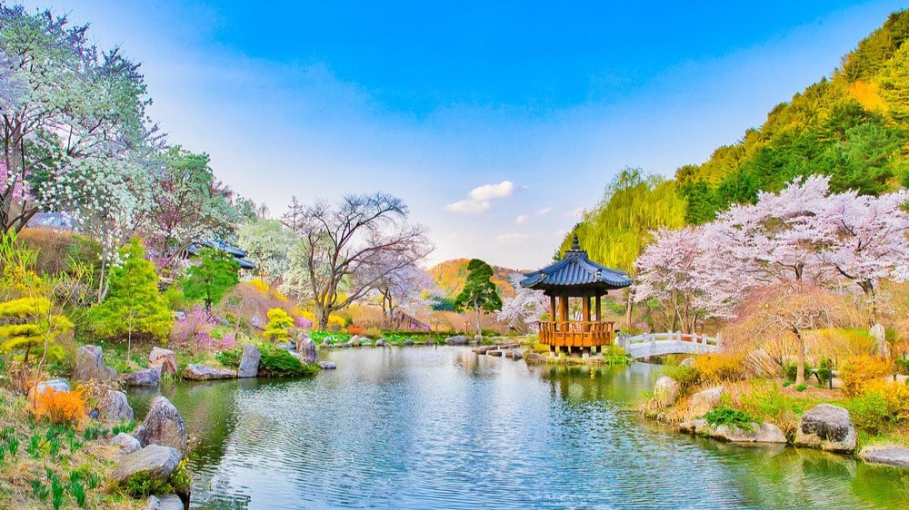 [HÀN QUỐC HÈ 5N4Đ] HÀ NỘI - SEOUL – EVERLAND – STARFIELD – BUKCHON HANOK – K.STAR ROAD - Image - 11266