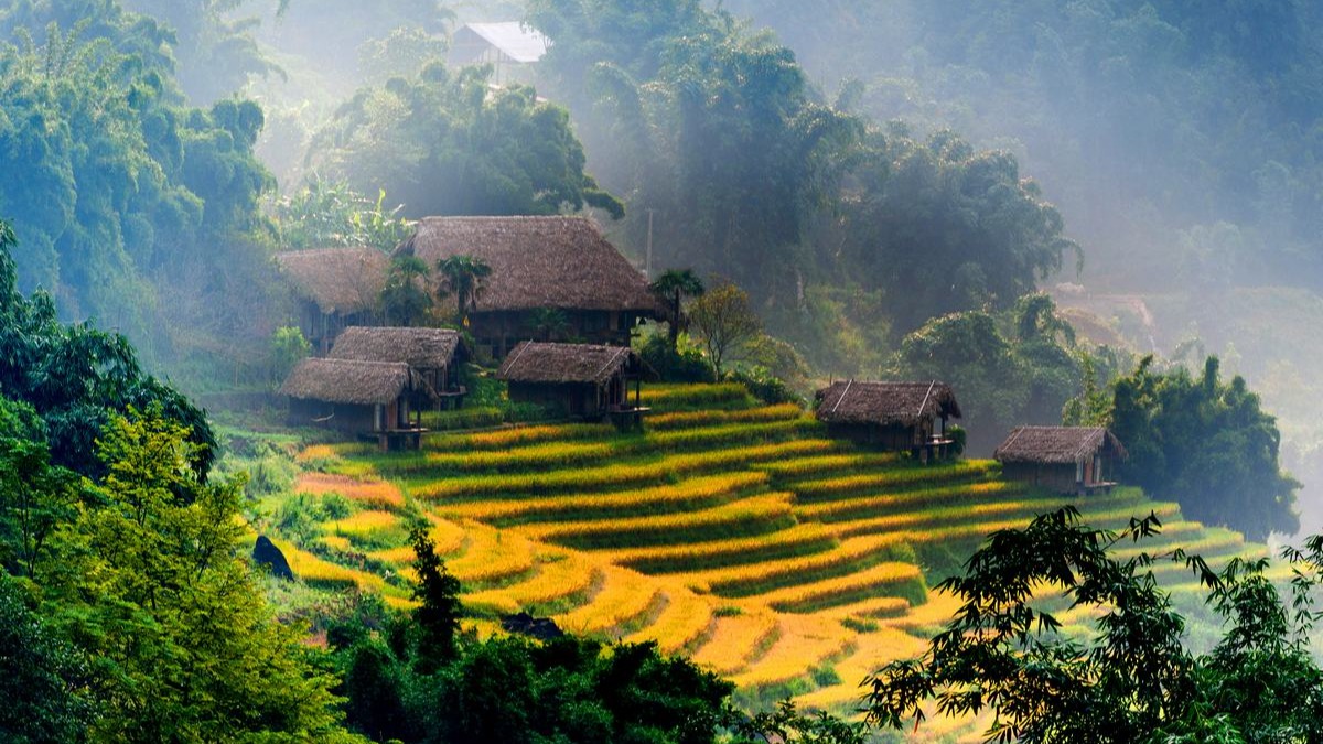 HANOI – SAPA – CATCAT – FANSIPAN – MOANA CHECKIN POINT – HANOI (3 DAYS - 2 NIGHTS) - Image - 13962