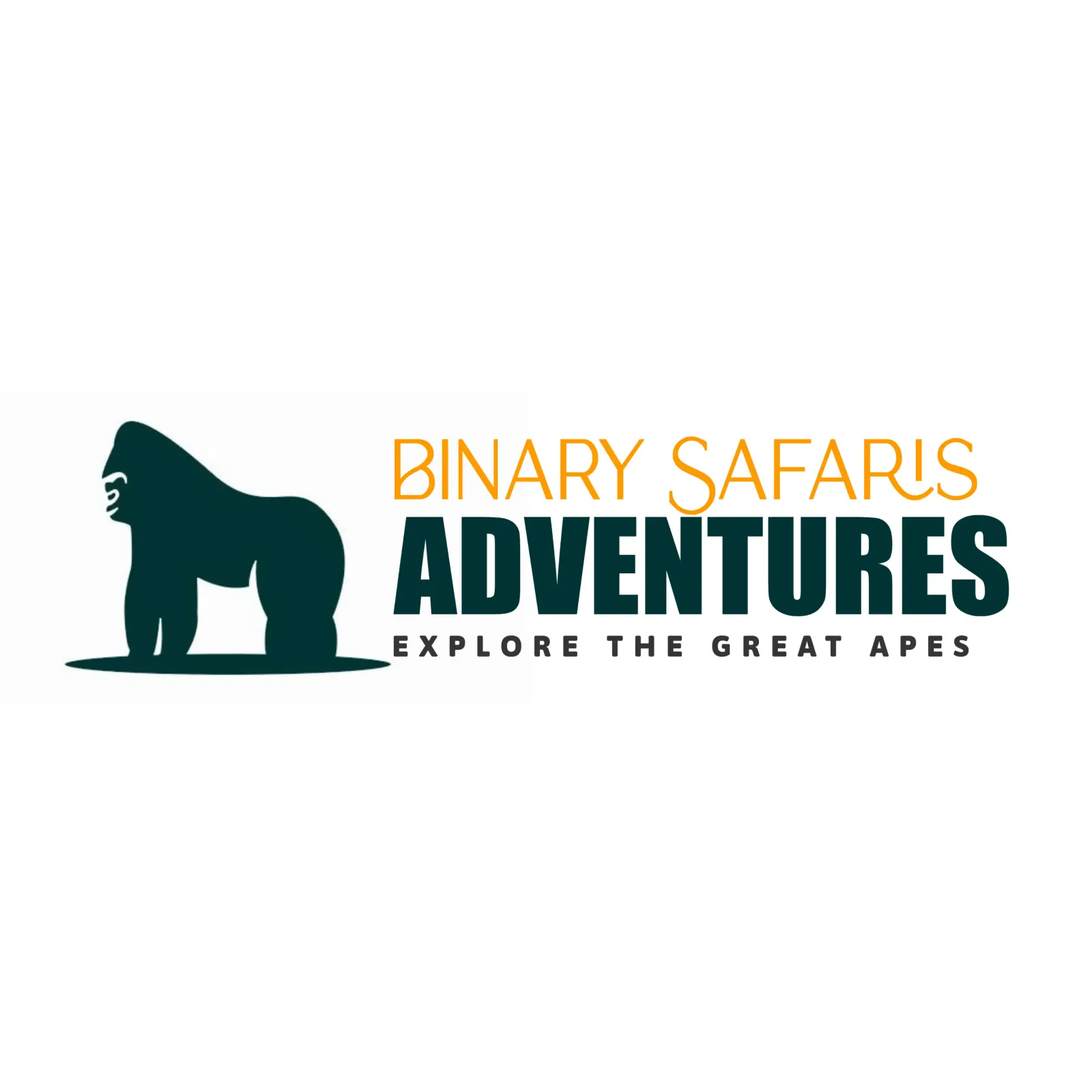 Binary Safari Adventures logo