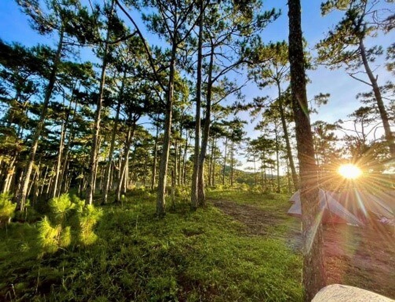 Tour Trekking: Vườn Quốc Gia Bidoup - Núi Bà -  Bidoup – Núi Bà - 24946