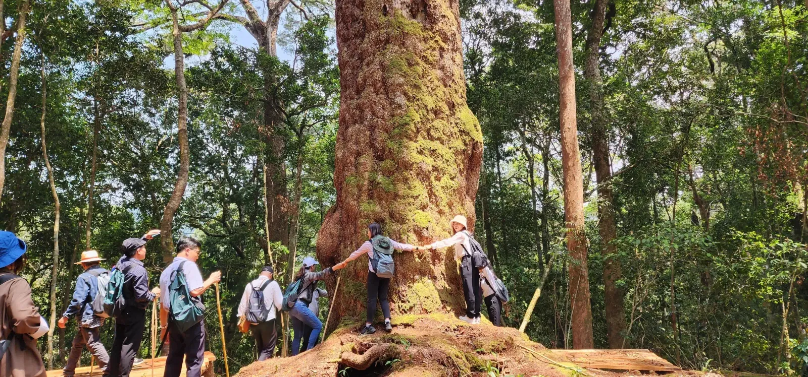 Tour Trekking: Vườn Quốc Gia Bidoup - Núi Bà - Vườn quốc gia Bidoup bà đen - 24948