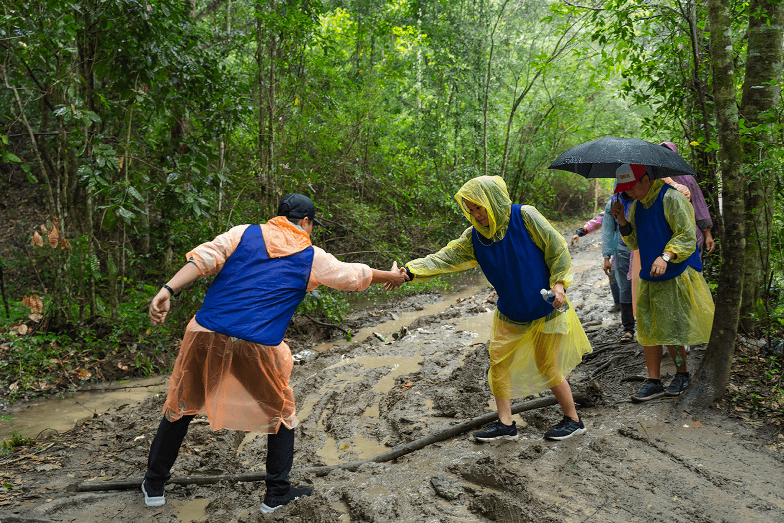 Tour Trekking: Thác K50 Gia Lai 2N2Đ - trekking ở rừng - 24950