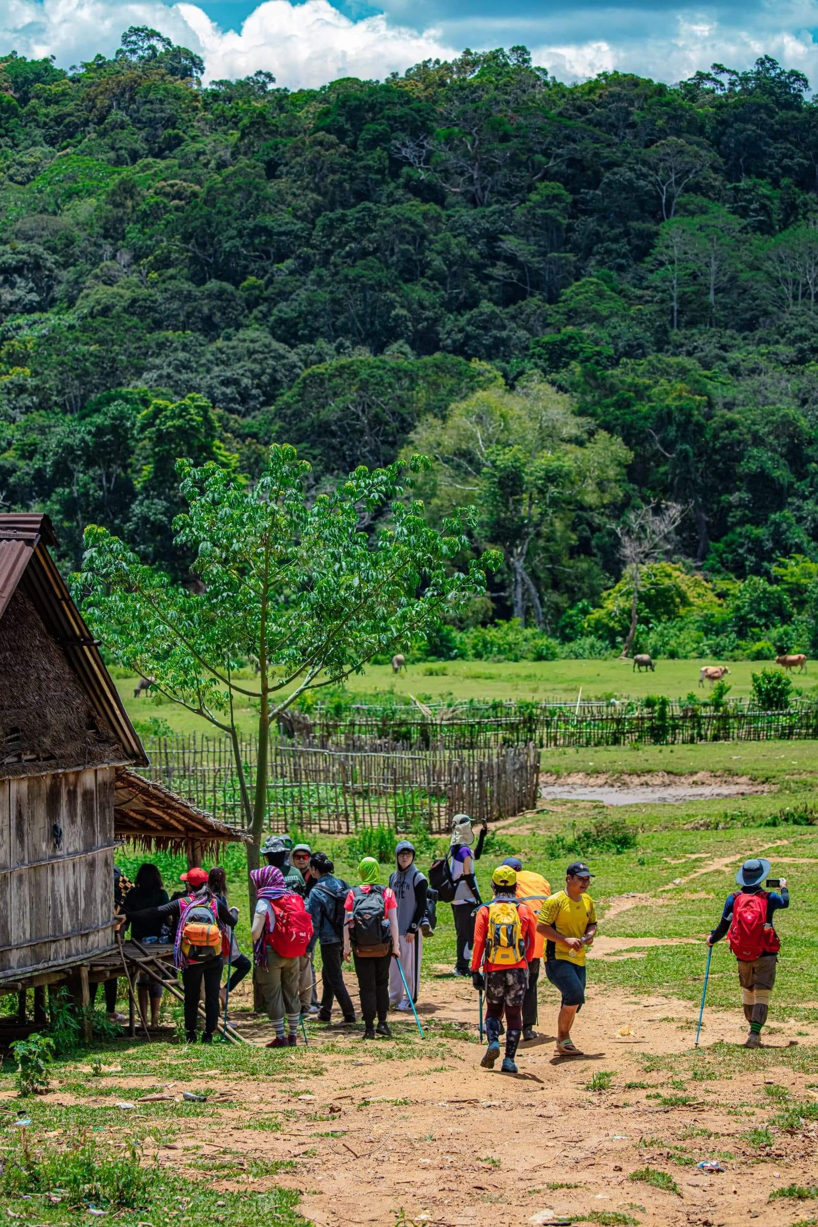 Tour Trekking: Thác K50 Gia Lai 2N2Đ - Cung đường chuẩn bị - 24952
