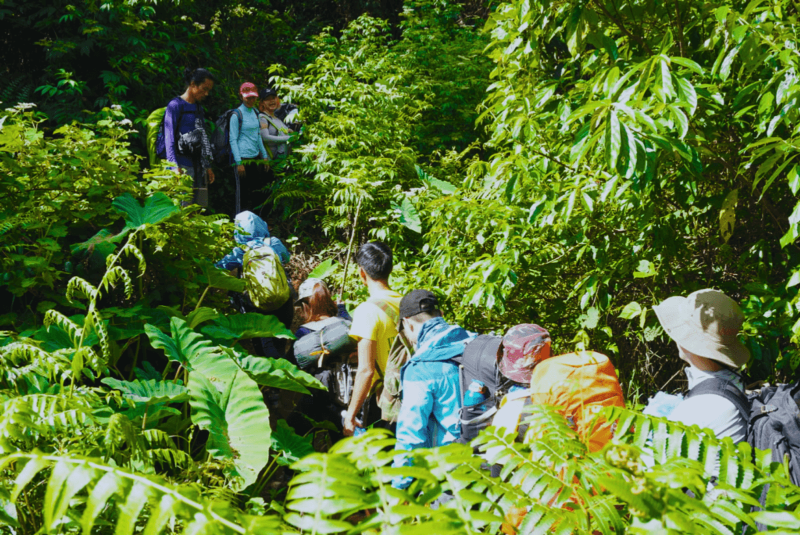 Tour Trekking: Thác K50 Gia Lai 2N2Đ - cung đường đi - 24954