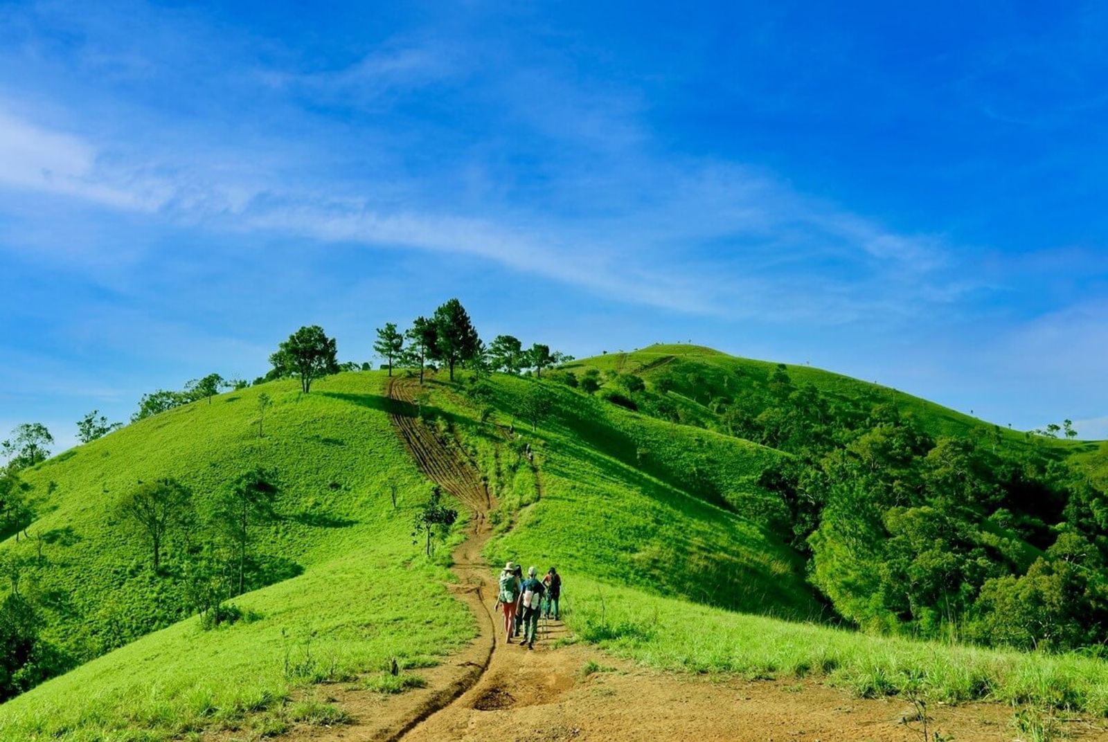 Tour Trekking: Tà Năng - Phan Dũng 2N2Đ