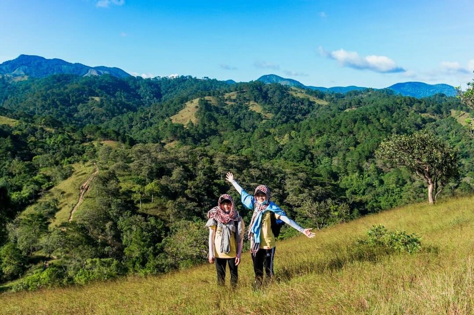Tour Trekking: Tà Năng - Phan Dũng 2N2Đ - mua-co-xanh-menh-mong-o-Ta-Nang-Phan-Dung - 24957