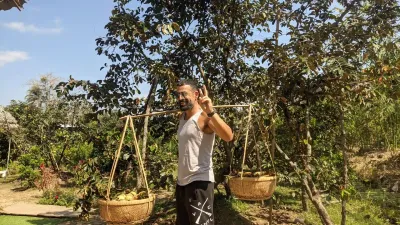 TOUR PROGRAMONE DAY MEKONG DELTA: MY THO – BEN TRE - Fruit garden experience in Mekong Delta during 2 days tour - 18735
