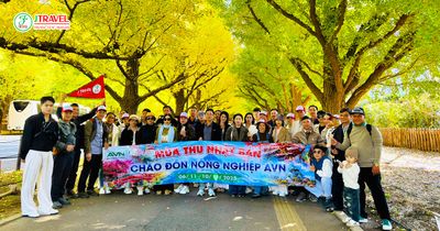 Tour Nhật Bản Mùa Thu 6N5Đ: Nagoya – Shirakawago – Phú Sĩ – Tokyo - mua-thu-nhat-ban-jtravel - 22104
