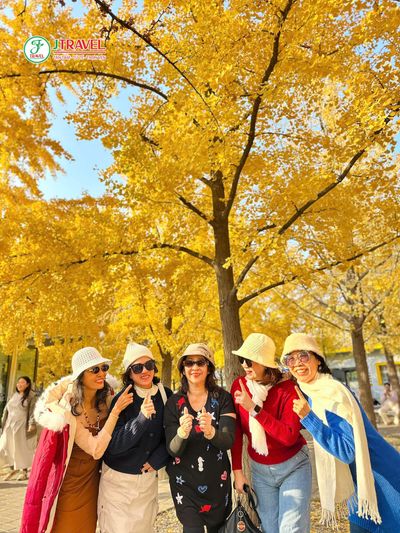 Tour Nhật Bản Mùa Thu 6N5Đ: Nagoya – Shirakawago – Phú Sĩ – Tokyo - mua-thu-bac-kinh-jtravel - 22108