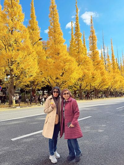 Tour Nhật Bản Mùa Thu 6N5Đ: Phú Sĩ – Oishi Park – Kyoto – Osaka - Icho Namiki nổi tiếng ở Tokyo, Nhật Bản, với hàng cây ngân hạnh rực rỡ vào mùa thu - 22229