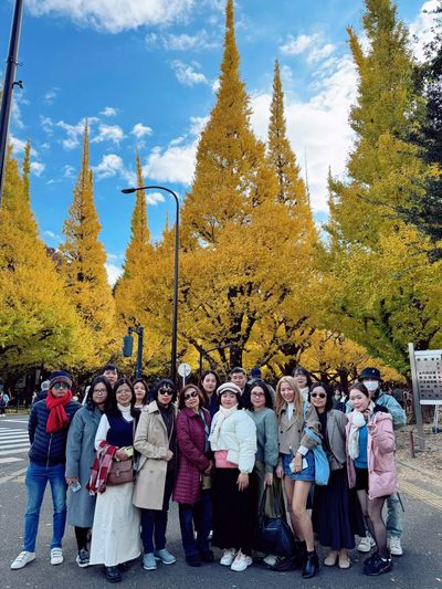 Tour Nhật Bản Mùa Thu 6N5Đ: Phú Sĩ – Oishi Park – Kyoto – Osaka - Icho Namiki nổi tiếng ở Tokyo, Nhật Bản - 22232