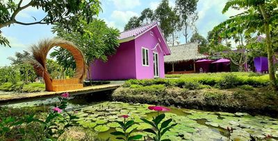 Tour Miền Tây: Cần Thơ - Rừng Tràm Trà Sư 2N2Đ | Khởi Hành Thứ 6 Hàng Tuần - Phim trường Căn Nhà Màu Tím - 22266