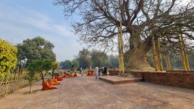 Tour Hành Hương Ấn Độ Nepal 7N7Đ: Lâm Tì Ni – Bồ Đề Đạo Tràng – Vườn Lộc Uyển – Câu Thi Na - Rừng Thệ Đà Kỳ Viên Tinh Xá - 22287