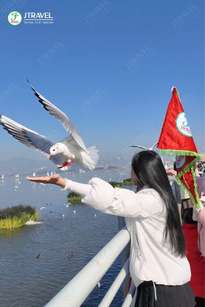 Tour Trung Quốc No Shopping: Đại Lý – Lệ Giang – Côn Minh 5N5Đ | Khởi Hành Hà Nội - ho-dien-tri-con-minh - 22298