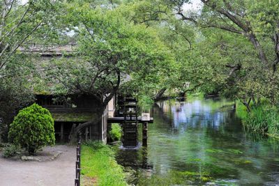 Tour Nhật Bản Mùa Hè: Nagoya - Shirakawago - Kamikochi - Núi Phú Sĩ - Tokyo 6N5Đ - Daio Wasabi - 22320