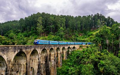 Tour Hành Hương Ấn Độ: Sri Lanka 8N7Đ - Cầu 9 đoạn (Nine Arch Bridge) - 22463