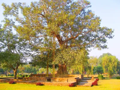 Tour Hành Hương Ấn Độ: Sri Lanka 8N7Đ - Cây Bồ Đề Ananda - 22466