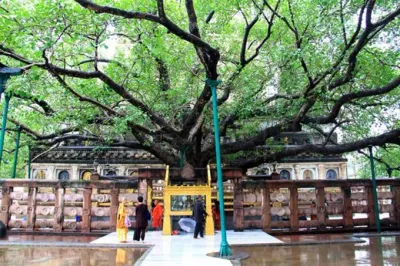 Tour Hành Hương Ấn Độ: Sri Lanka 8N7Đ - Cội Bồ Đề - 22467