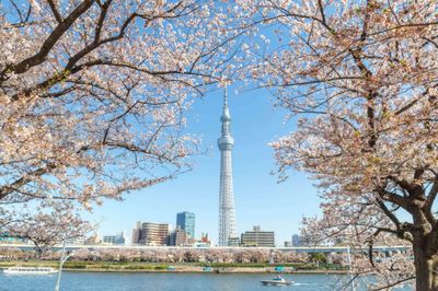 Tour Nhật Bản: Nagoya - Làng Shirakawago - Kamikochi - Phú Sĩ - Bảo tàng Harry Potter - Tokyo - Narita 6N5Đ - Tháp Truyền Hình Tokyo Skytree - 22813