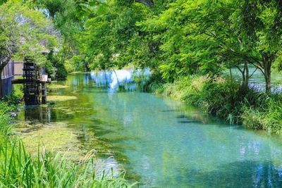 Tour Nhật Bản: Nagoya - Làng Shirakawago - Kamikochi - Phú Sĩ - Bảo tàng Harry Potter - Tokyo - Narita 6N5Đ - Daio Wasabi - 22814