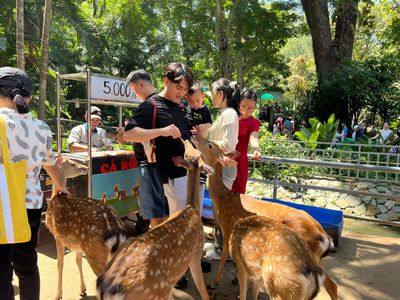 Tour Học Sinh: Ngoại Khóa Khám Phá Thảo Cầm Viên - Thảo Cầm Viên TP.HCM - 22952