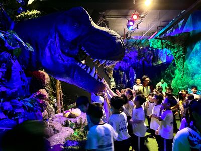 Tour Học Sinh: Tham Quan Công Viên Khủng Long Jpark - 435380931_935608838576749_5481821426944085007_n - 22969