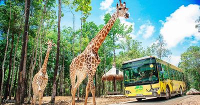 Tour Du Lịch Hà Tiên - Phú Quốc - Câu Cá 3N3Đ - Phú Quốc Safari - 23063