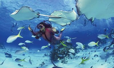 Tour Malaysia: Đảo Rồng Tioman - Bơi cùng cá Nemo 5N4Đ - Lặn biển đảo Tioman - 23096