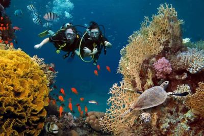 Tour Malaysia: Đảo Rồng Tioman - Bơi cùng cá Nemo 5N4Đ - Lặn đảo Tioman - 23097