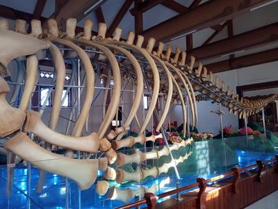 Tour Quảng Ngãi Khám Phá Đảo Lý Sơn - Di tích Lăng Tân - 23261