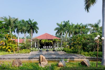 Tour Nha Trang – Đà Lạt Trọn Gói 4N4Đ | Khởi Hành Tối Thứ 4 - DIAMOND BAY - 23270