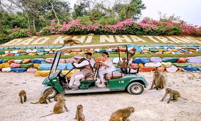 Tour Nha Trang - Phiêu Lưu Đảo Khỉ Vinpearl Harbour - MONKEY ISLAND – VƯƠNG QUỐC LOÀI KHỈ - 23278