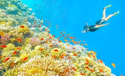 Tour Nam Du 2 Ngày 2 Đêm Từ TP.HCM - Lặn ngắm san hô - 23318
