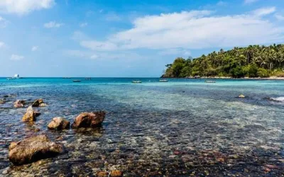 Tour Nam Du 2 Ngày 2 Đêm Từ TP.HCM - Bãi Ngự - 23321