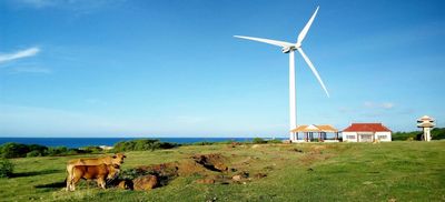 Tour Đảo Phú Quý 3 Ngày 2 Đêm Từ TP.HCM – Khám Phá Hòn Tranh - Phong điện - 23328