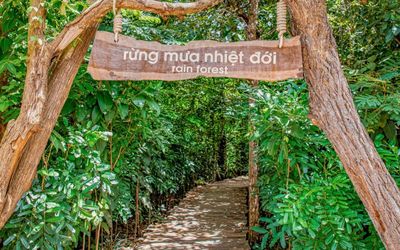 Tour Hồ Tràm Nghỉ Dưỡng Trọn Gói 2N1D - MINERA FOREST - 23372