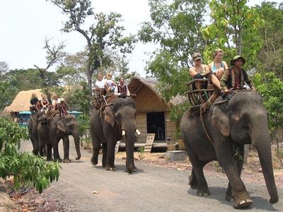 Tour Tây Nguyên: Tà Đùng - Buôn Ma Thuột 3N2Đ | Khởi Hành Thứ 6 Hàng Tuần - KDL BUÔN ĐÔN - 23386