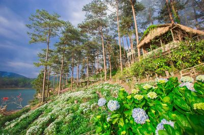 Tour Đà Lạt: Thác Bobla - Fairytale Land 4N3Đ - HAPPY HILL - 23397