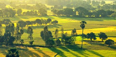 Tour Miền Tây: Mỹ Tho - Châu Đốc - Cần Thơ 3N2Đ - vùng Bảy Núi, tỉnh An Giang - 23472